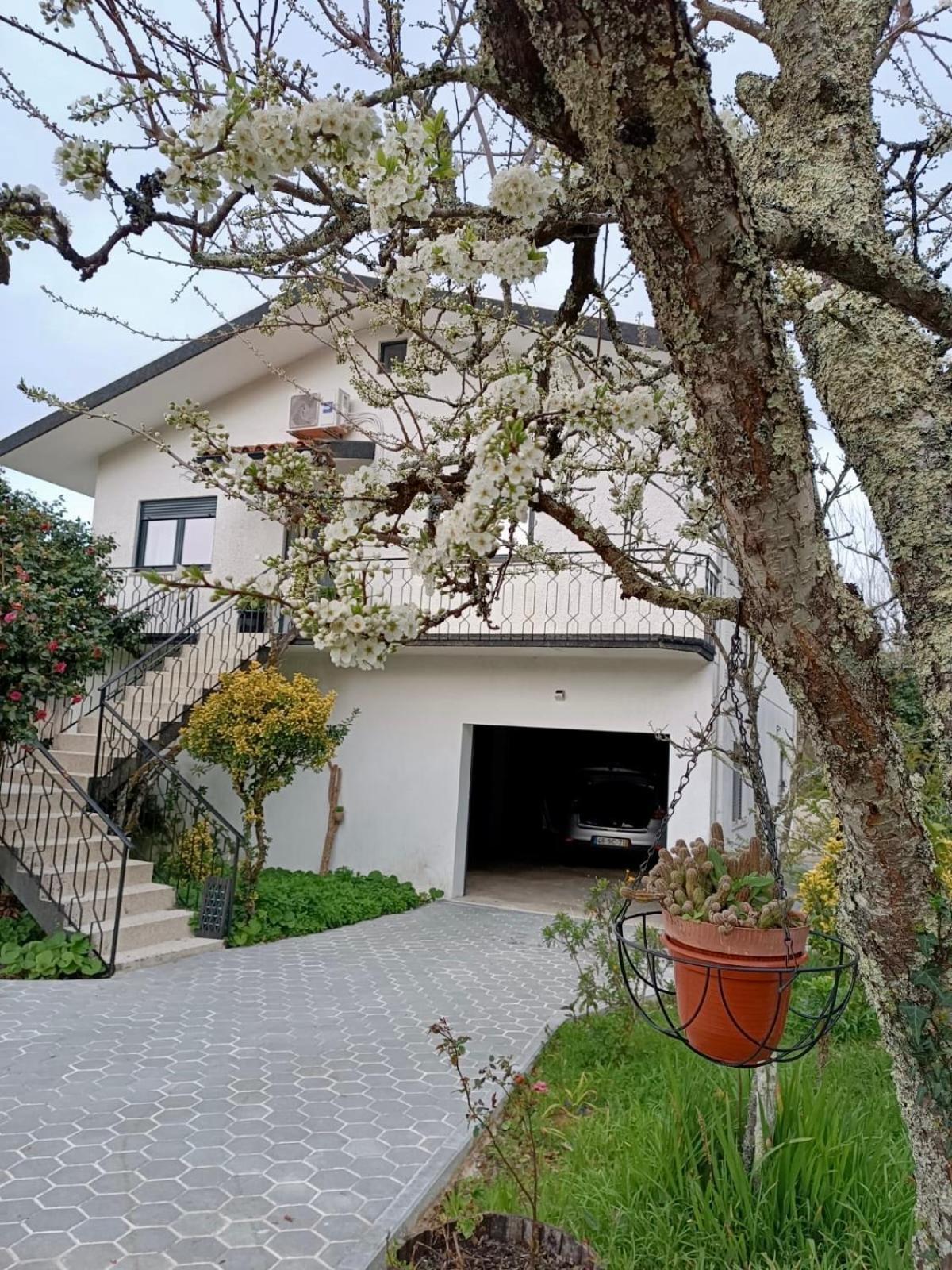 Villa Casa De Fraguas Arouca Exterior foto